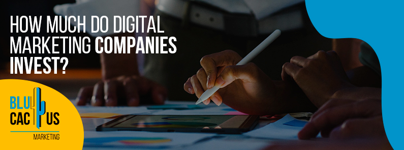 Blucactus New Zealand - How much do companies invest in digital marketing? - banner