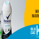 Blucactus New Zealand - What is Rexona's marketing strategy? - bannner