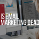 Blucactus New Zealand - Is Email Marketing Dead? - banner
