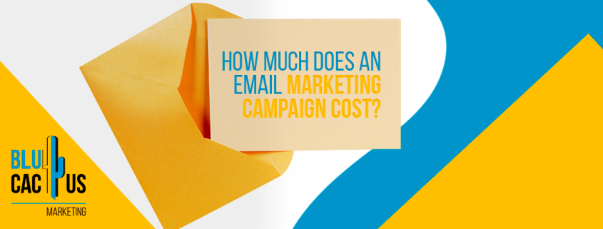 Blucactus New Zealand - How much does an email marketing campaign cost? - banner