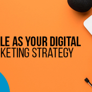 Blucactus New Zealand - The jingle in your digital marketing strategy - banner